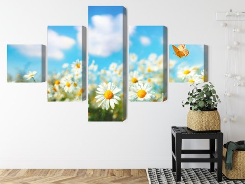 Obraz Wieloczęściowy Pole Stokrotki 3D