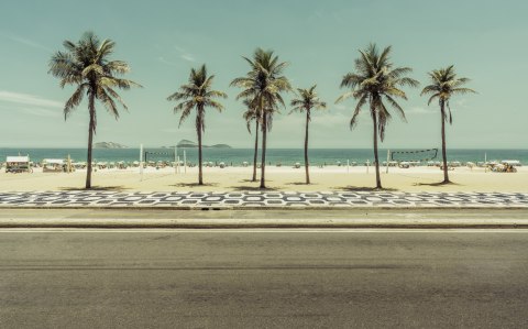 Obraz Wieloczęściowy Palmy Na Plaży Ipanema W Rio De Janeiro