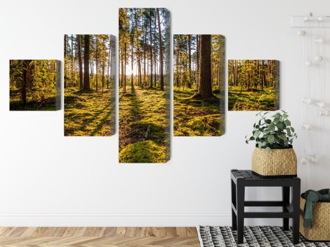 Obraz Wieloczęściowy Słoneczny Leśny Krajobraz 3D