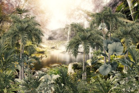 Fototapeta Tropical Trees And Leaves For Digital Printing Wallpaper, Custom Design Wallpaper - 3D