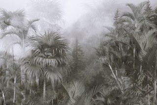 Fototapeta Tropical Trees And Leaves For Digital Printing Wallpaper, Custom Design Wallpaper - 3D