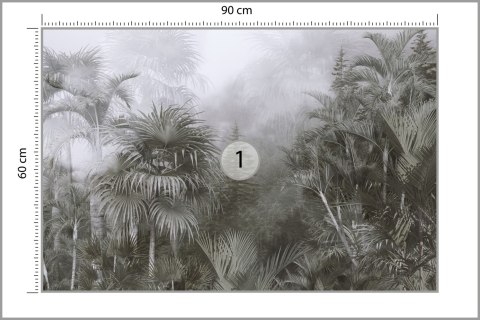 Fototapeta Tropical Trees And Leaves For Digital Printing Wallpaper, Custom Design Wallpaper - 3D
