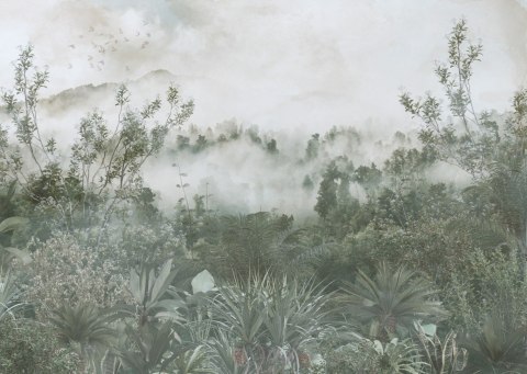 Fototapeta Tropical Trees And Leaves For Digital Printing Wallpaper, Custom Design Wallpaper - 3D