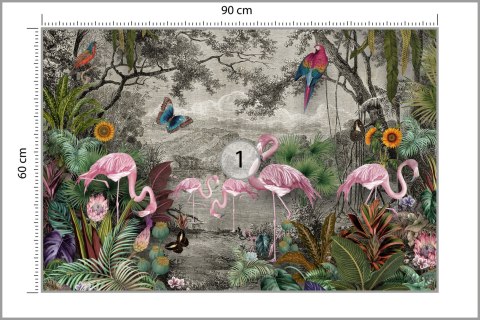 Fototapeta Wallpaper Jungle And Tropical Forest Banana Palm And Tropical Birds, Old Drawing