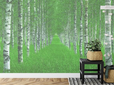 Fototapeta Kwadratowa Tunel Autorstwa Christiana Lindstena