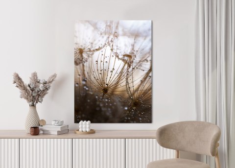 Plakat Dmuchawiec Z Kroplami Rosy