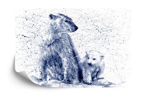 Fototapeta Niedźwiedzie Polarne