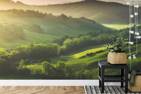 Fototapeta Pole 3D