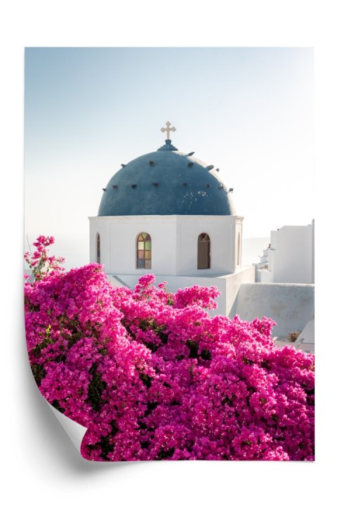 Plakat Typowa Architektura Santorini I Kwitnąca Bugenwilla