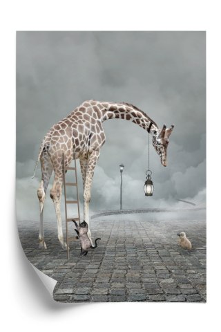 Plakat Surrealistyczna Żyrafa Kot Drabina I Lampa