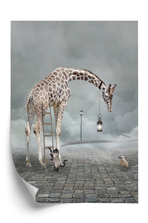 Plakat Surrealistyczna Żyrafa Kot Drabina I Lampa