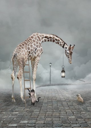 Plakat Surrealistyczna Żyrafa Kot Drabina I Lampa