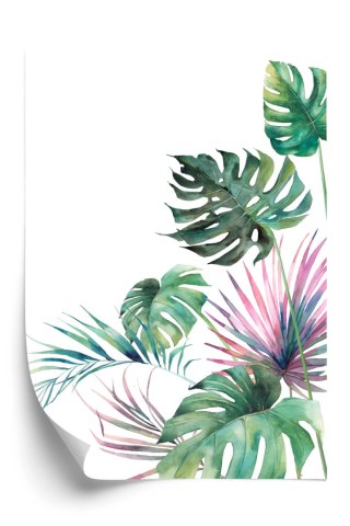 Plakat Botaniczny Wzór Akwarelowe Liście Monstery I Palmy