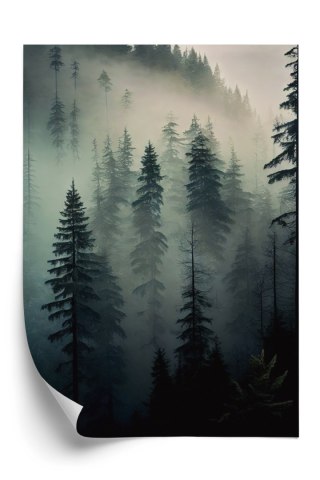 Plakat Drzewa W Mglistym Lesie
