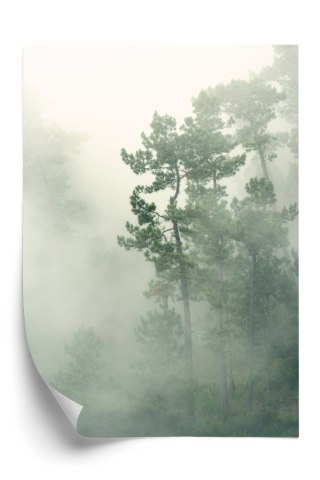 Plakat Mgła W Zielonym Lesie Natura