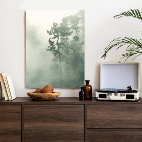 Plakat Mgła W Zielonym Lesie Natura