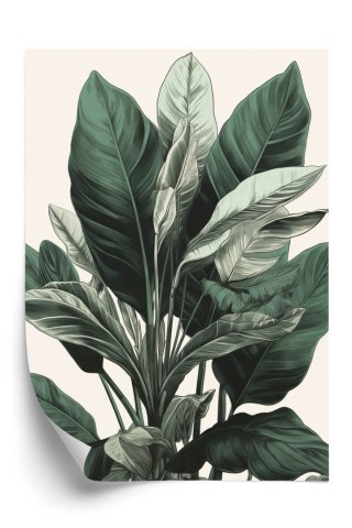 Plakat Zielona Roślina Filodendron