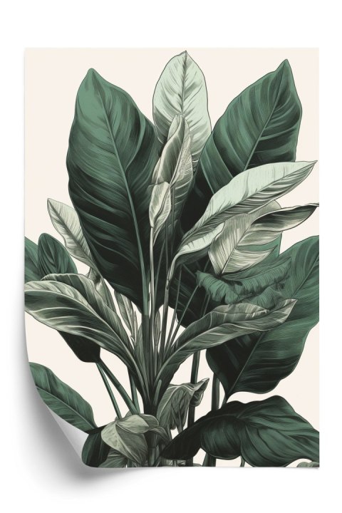 Plakat Zielona Roślina Filodendron