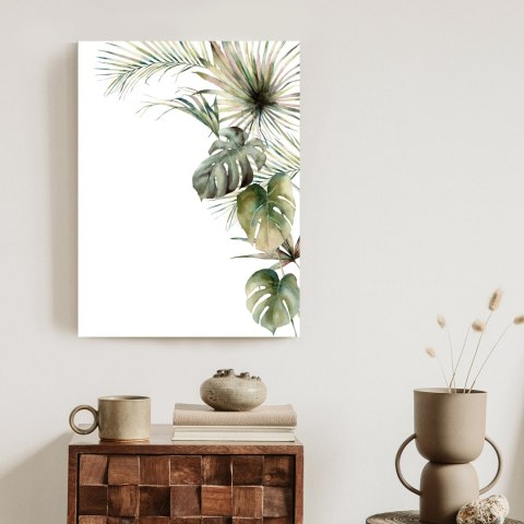 Plakat Roślinność Palma I Monstera Na Białym Tle Akwarela