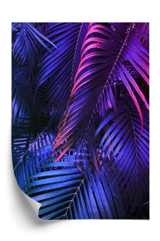 Plakat Tropikalne Neonowe Liście Palmowe