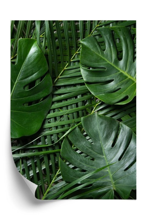 Plakat Zielone Liście Monstera I Palma