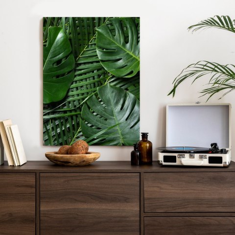 Plakat Zielone Liście Monstera I Palma
