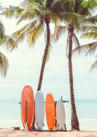 Plakat Surfing I Drzewa Palmowe