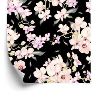 Tapeta Do Salonu Kwiaty Storczyki Natura Przyroda