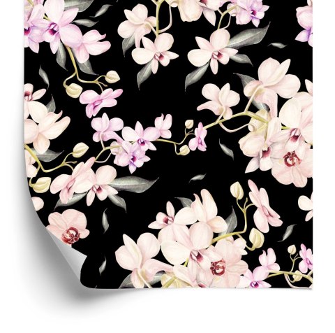 Tapeta Do Salonu Kwiaty Storczyki Natura Przyroda