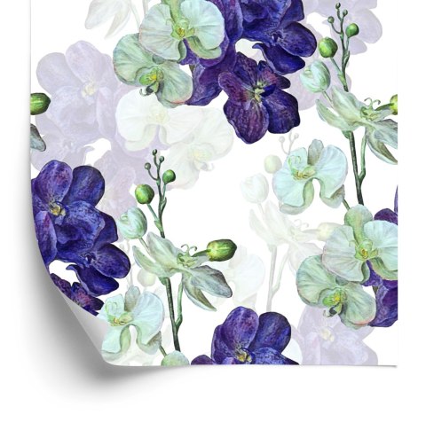 Tapeta Do Sypialni Orchidea Storczyk Kwiaty Natura