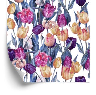 Tapeta Kolorowe Malowane Tulipany