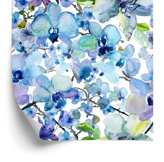 Tapeta Malowane Akwarelą Orchidee