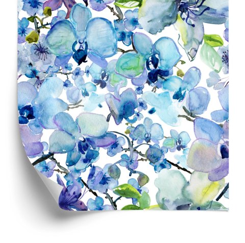 Tapeta Malowane Akwarelą Orchidee