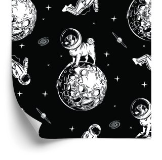 Tapeta Psy W Kosmosie