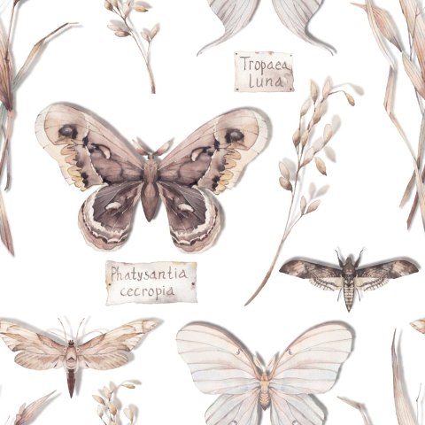 Tapeta Do Kuchni, Motyle, Kwiaty, Rośliny, Natura