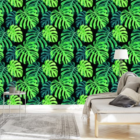 Tapeta Liście Monstery