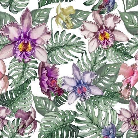 Tapeta Kolorowe Kwiaty Orchidei I Liście Monstery