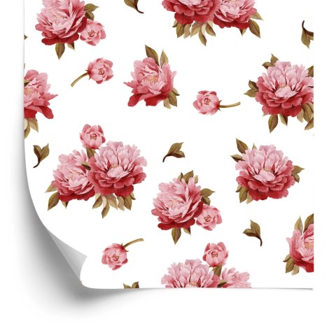 Tapeta Kolorowe Peonie - Akwarela