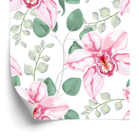 Tapeta Piękne Orchidee