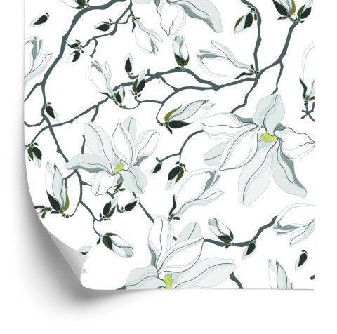 Tapeta Białe Magnolie