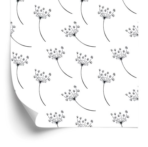 Tapeta Minimalistyczne Kwiaty Polne