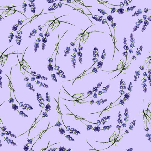 Tapeta Natura Lawendy