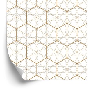 Tapeta Geometryczna - Sześciokąty