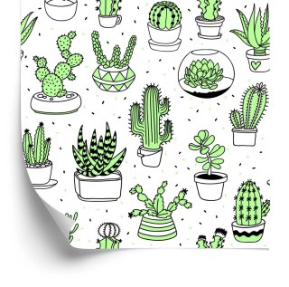 Tapeta Do Sypialni, Kaktusy W Stylu Skandynawskim