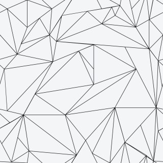 Tapeta Czarno-Biały Wzór Geometryczny