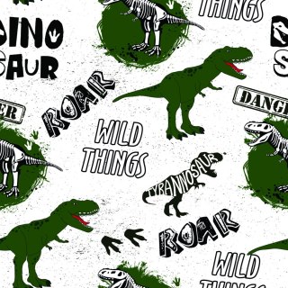Tapeta Do Pokoju Młodzieżowego, Dinozaury