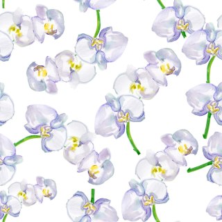 Tapeta Do Salonu Orchidea Storczyk Kwiaty Natura