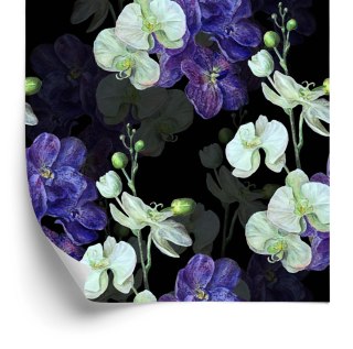 Tapeta Do Salonu Orchidea Storczyk Przyroda Kwiaty
