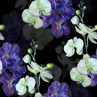 Tapeta Do Salonu Orchidea Storczyk Przyroda Kwiaty