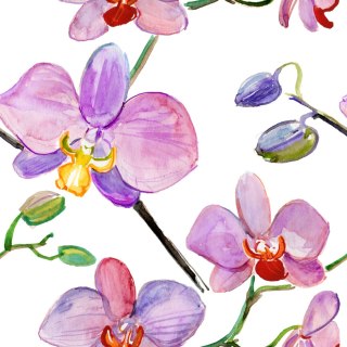 Tapeta Do Salonu Orchidee Storczyki Kwiaty Rośliny